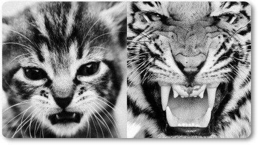 Егор Голубев