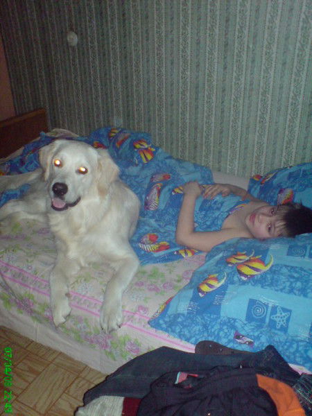 Никита Шашков