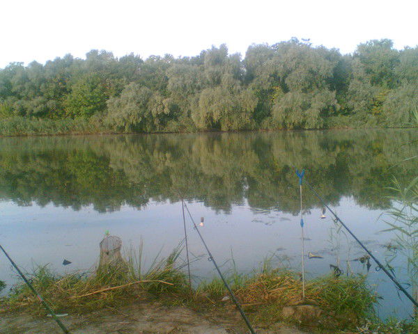 Володя Боровой