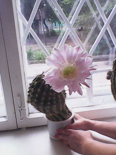 Асет Бакишев