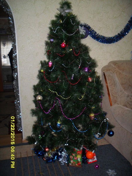 Щербинина Юлия