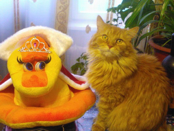 Светлана Рыбнова