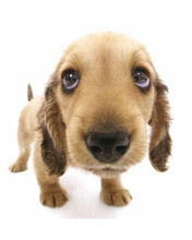 Маргарита Попова