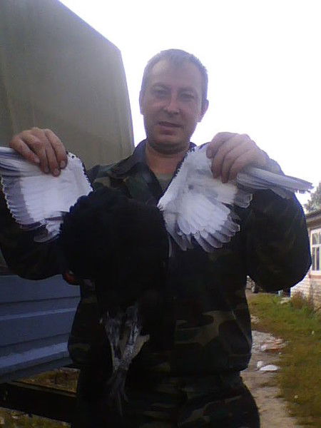 Александр Гаврилов