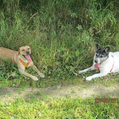 Инна Губанова