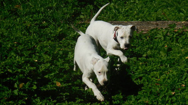 Светлана Губина