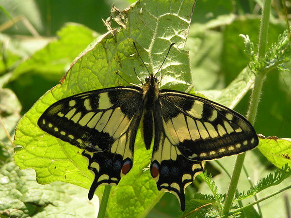Владислав Евгеньевич