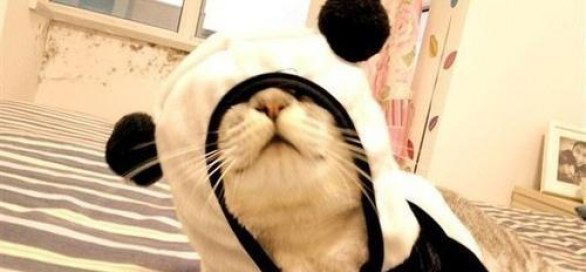 Игорь Махин