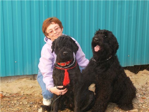 Черная Моряна Хворостинка