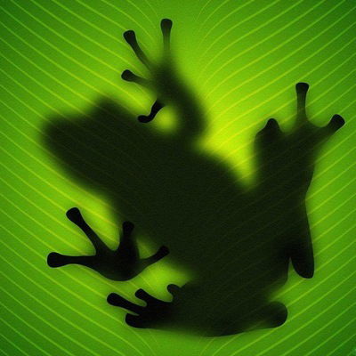 Николай Крылушкин