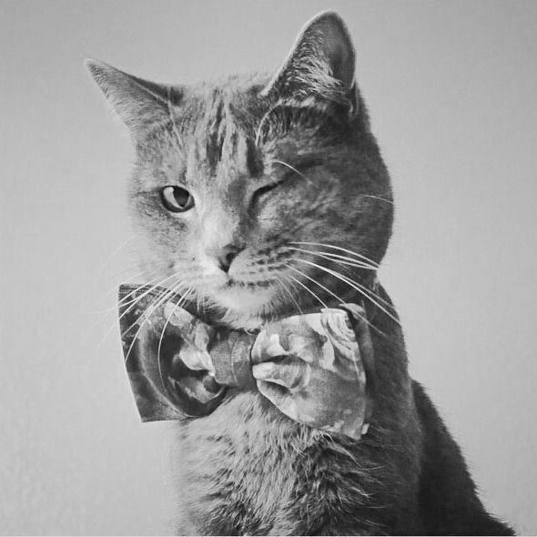 Владимир Балахонов