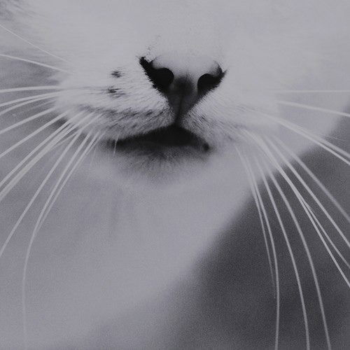 Женя Тарасова