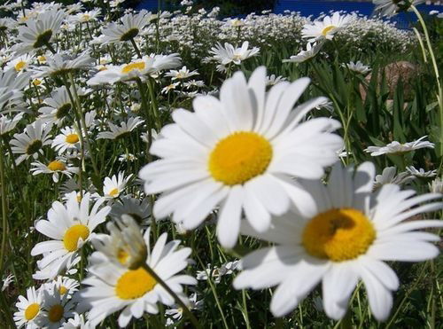 Наталья Наумова