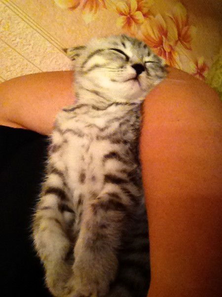 Татьяна Липова