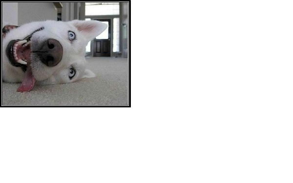 Александр Лядев