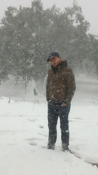 Данияр Babahanov