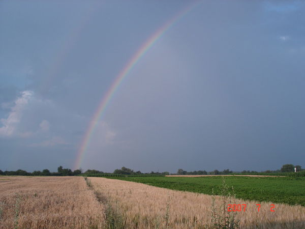 Лариса Горб