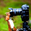 Akhmadaliev Ulug'bek