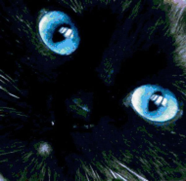 Александр Д