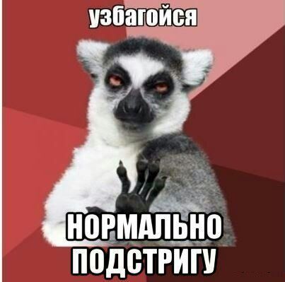 * Салон Парикмахерская Сабина * Пр Сатпа