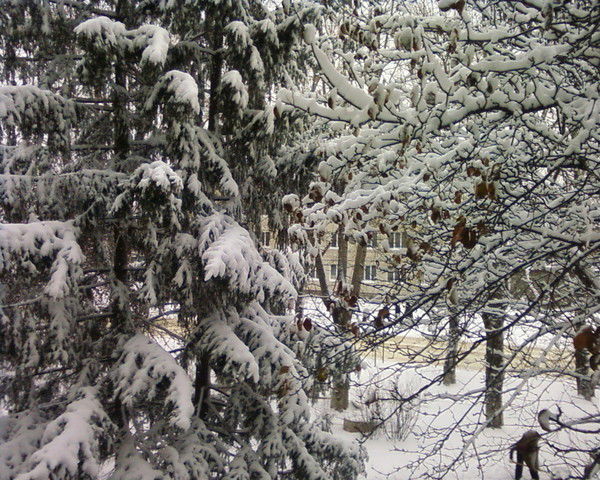 Лариса Сергиенко