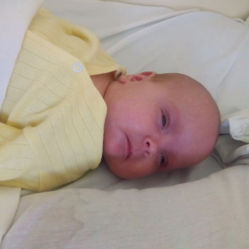 Александр Верхов