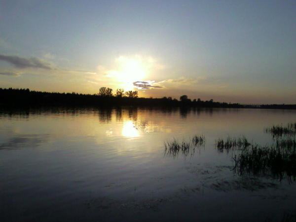 Дмитрий Варганов