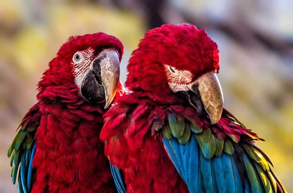 Ёрова Светлана Юрьевна