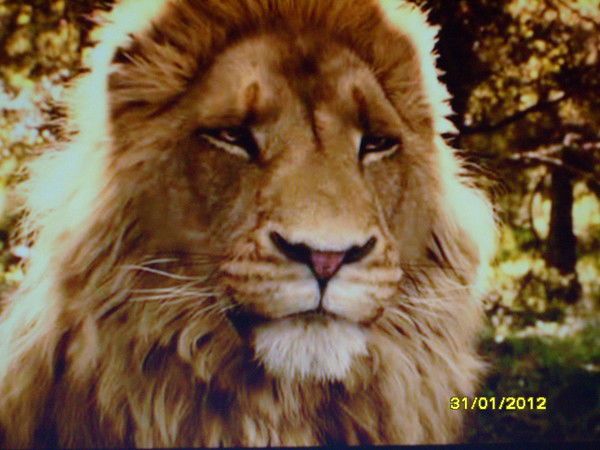 Евгений Сальников