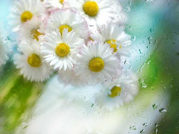 Наташа Джабарова