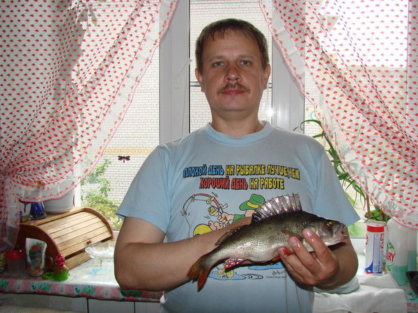 Юрий Кашицын