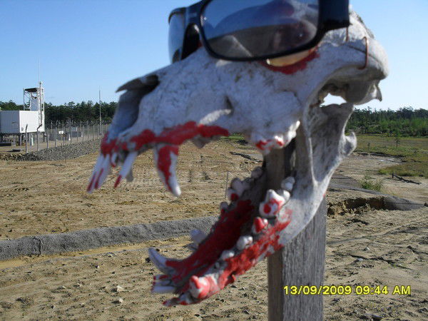 Виктор Горлов