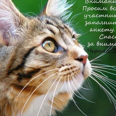 Раиля Канбарова