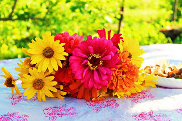 Ольга Розова