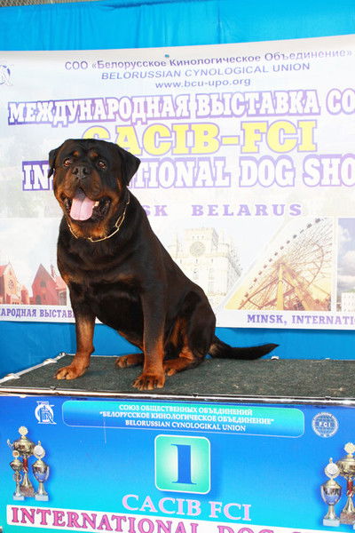 Анжелика Трифонова