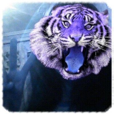 Азалия Хафизова