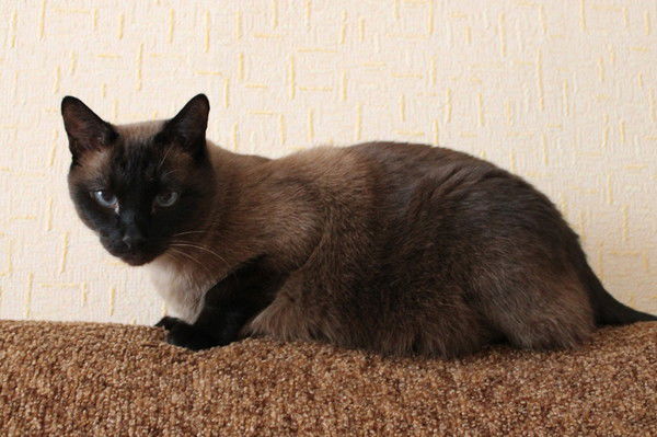 Юлия Малахова