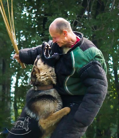 Николай Астраханцев