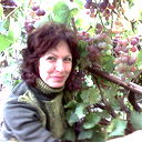 Светлана Блинова