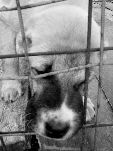 Сергей Гусаков