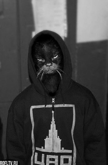 Костя Толстов