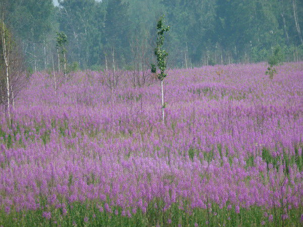 Сергей Храменко