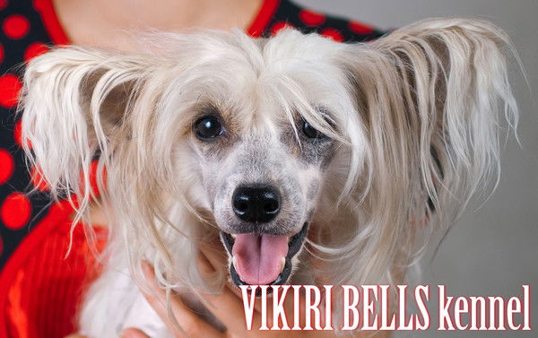 Виктория Кириллова