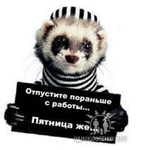 Ринат Рассулов