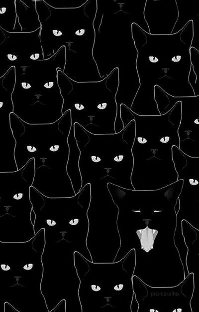 Вероника Жолудева