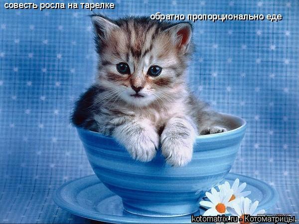 Наталья Цунина