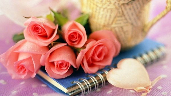 Жамбылская Облтеринспекция Лесного И Охотничьего Хозяйства