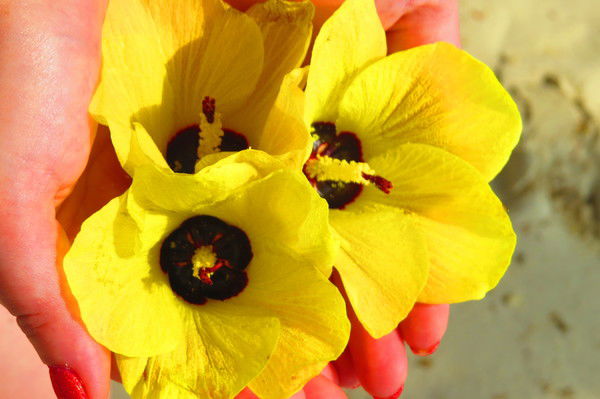 Марина Давыдчик