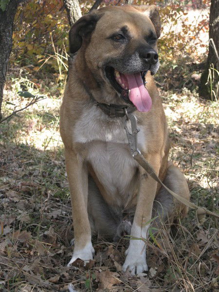 Евгений Носов