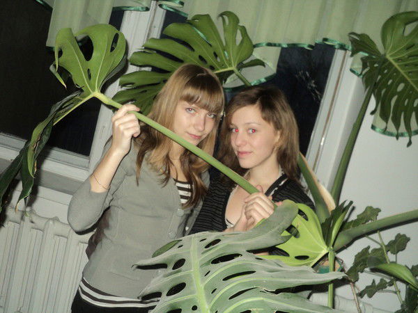 Арина Сельгейм